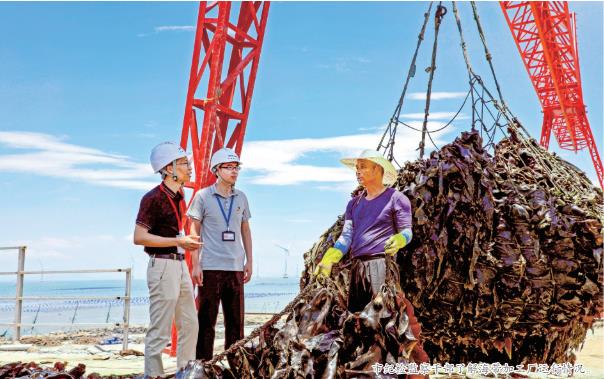 “点题直播”护航乡村振兴——市纪委搭建小微权力监督平台