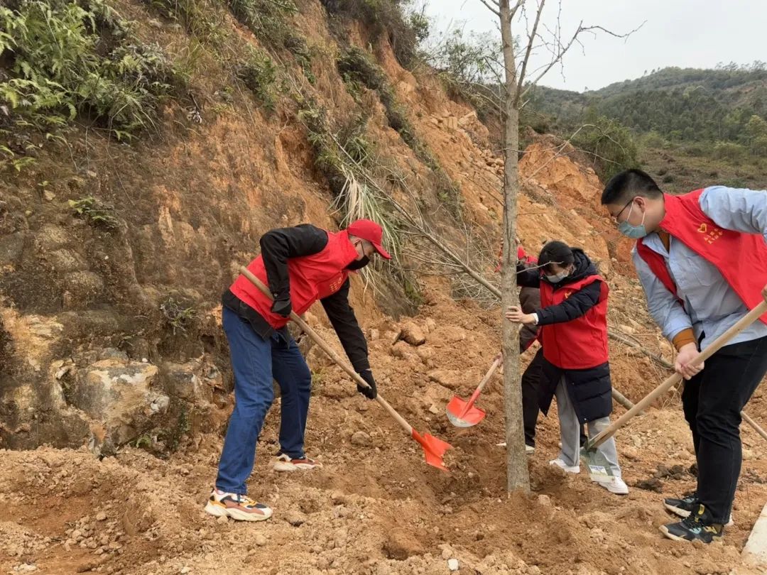 福清水务公司青年志愿者参加义务植树